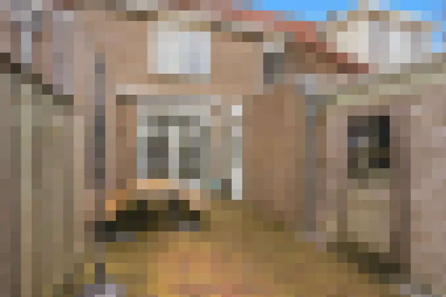 Kooiker 5 Beuningen Gld thumbnail 6