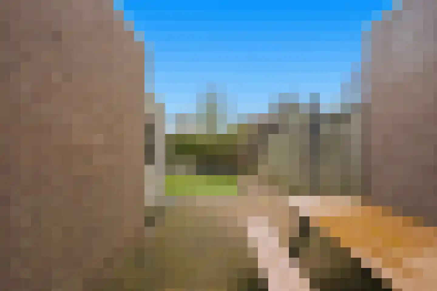 Kooiker 5 Beuningen Gld thumbnail 8