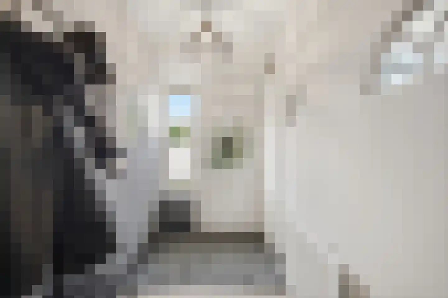 Kooiker 5 Beuningen Gld thumbnail 9
