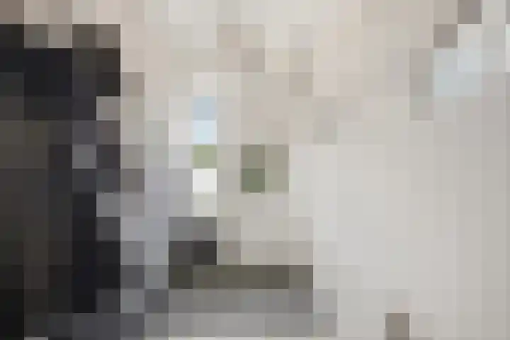 Kooiker 5 Beuningen Gld thumbnail 9
