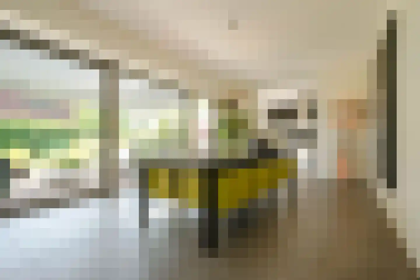 Kooikerlaan 23 Nootdorp thumbnail 10