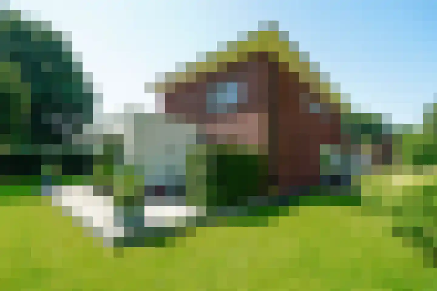 Kooikerlaan 23 Nootdorp thumbnail 23