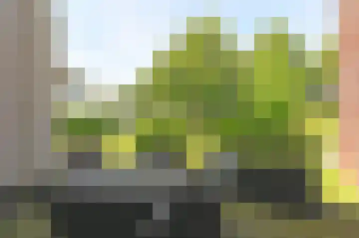 Kooikerlaan 33 Nootdorp thumbnail 13