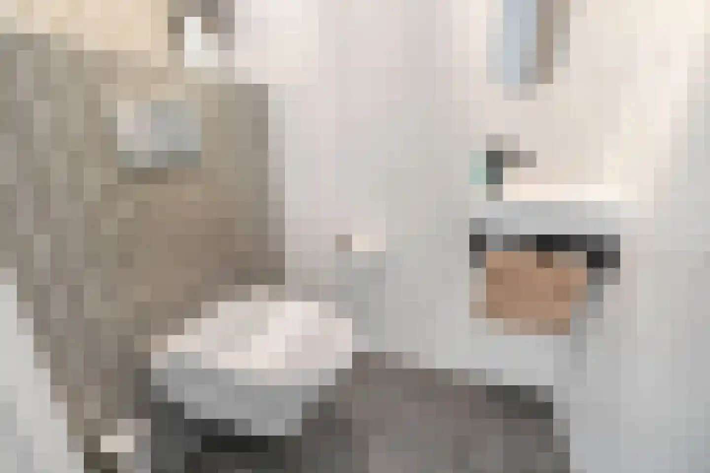 Kooikerlaan 8 Nootdorp thumbnail 10