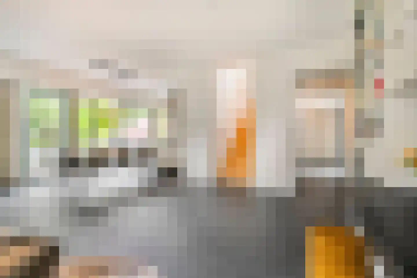 Kooikerlaan 8 Nootdorp thumbnail 14
