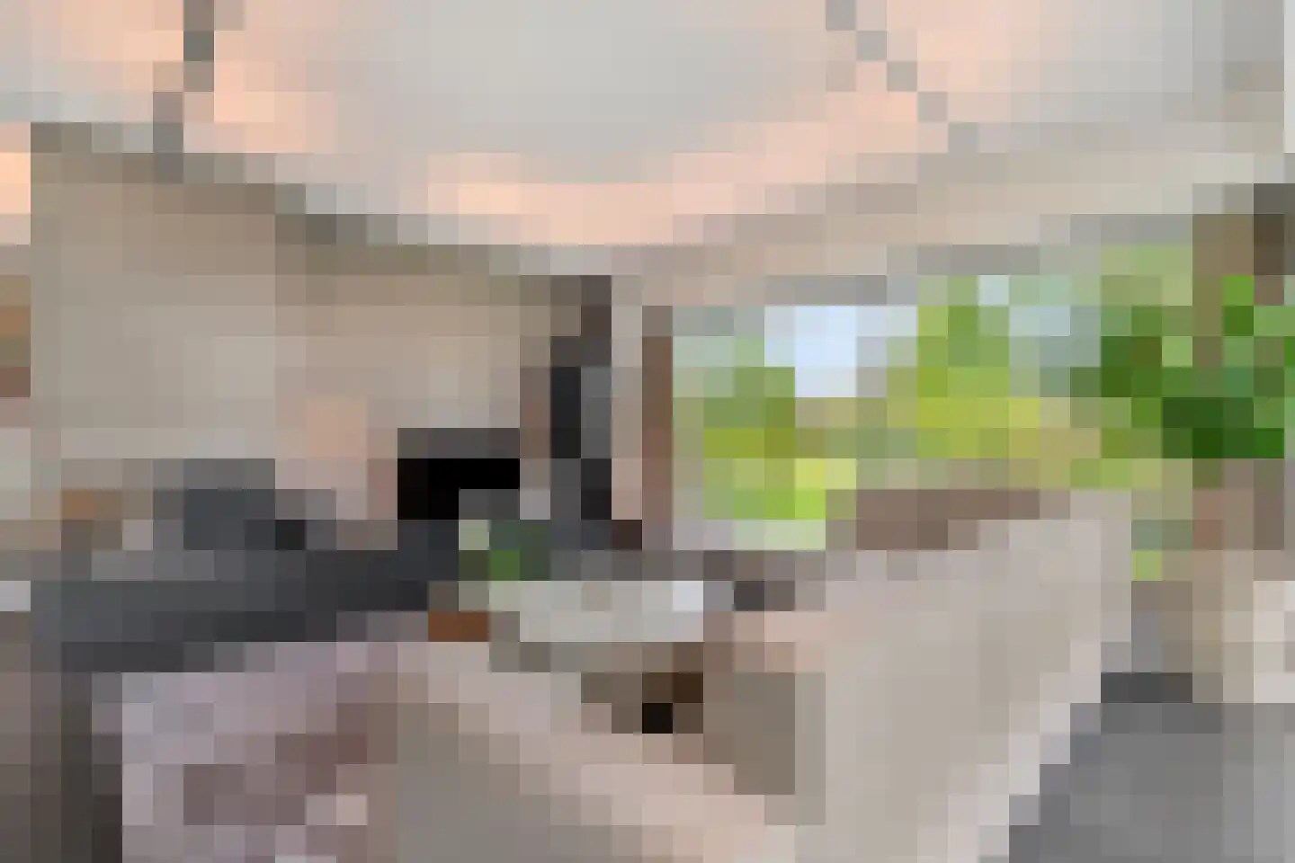 Kooikerlaan 8 Nootdorp thumbnail 16