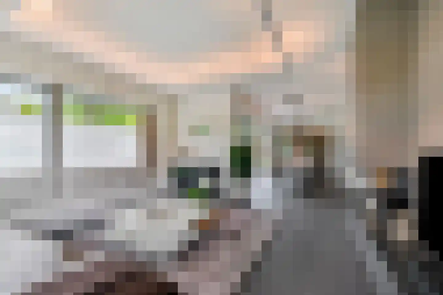 Kooikerlaan 8 Nootdorp thumbnail 17