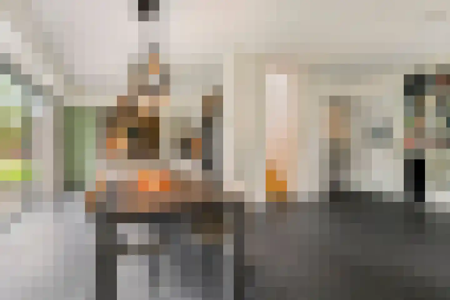 Kooikerlaan 8 Nootdorp thumbnail 18