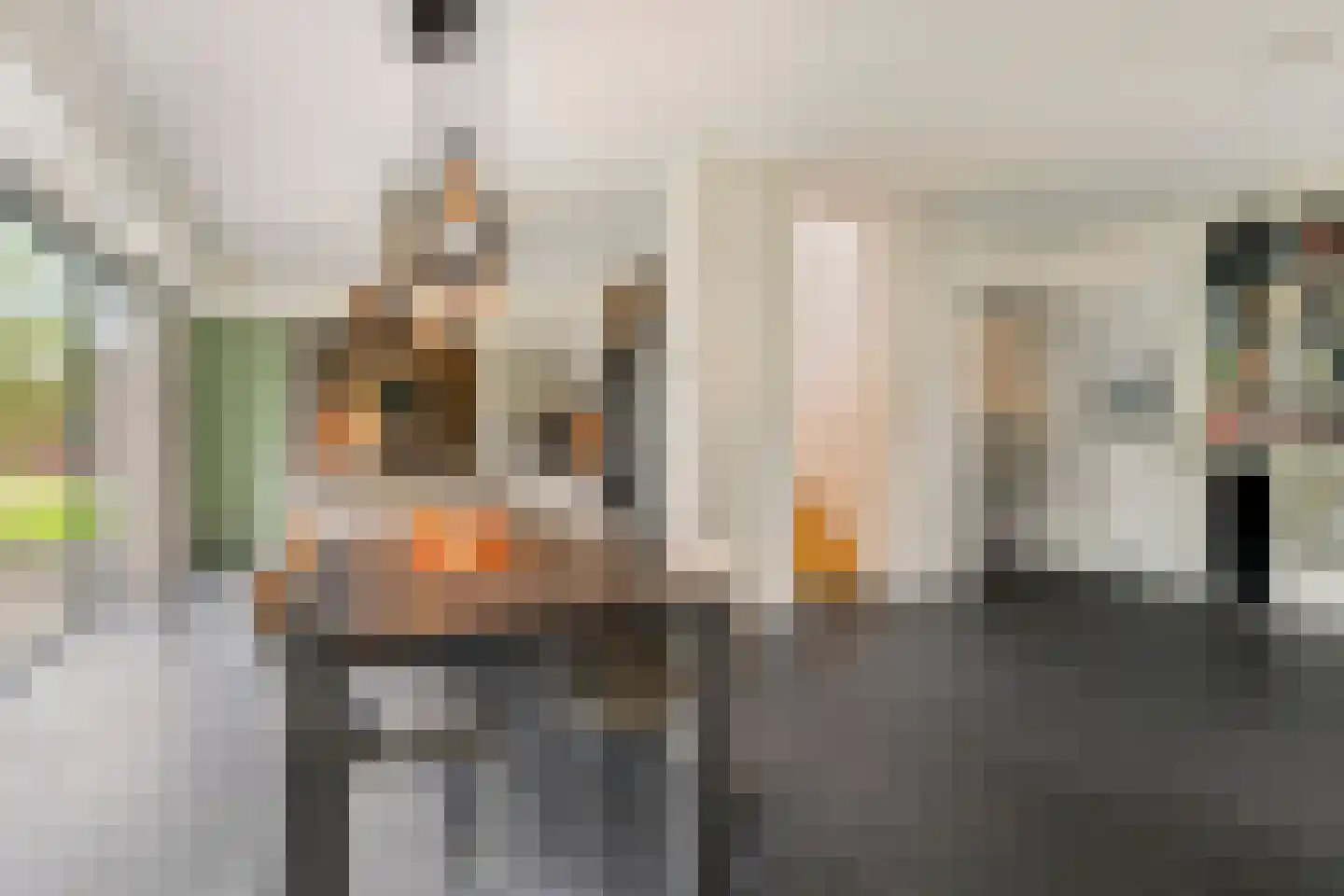 Kooikerlaan 8 Nootdorp thumbnail 18