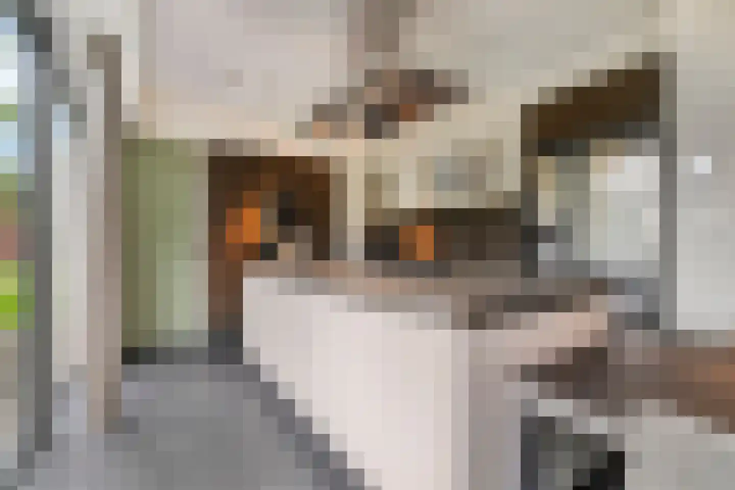 Kooikerlaan 8 Nootdorp thumbnail 20