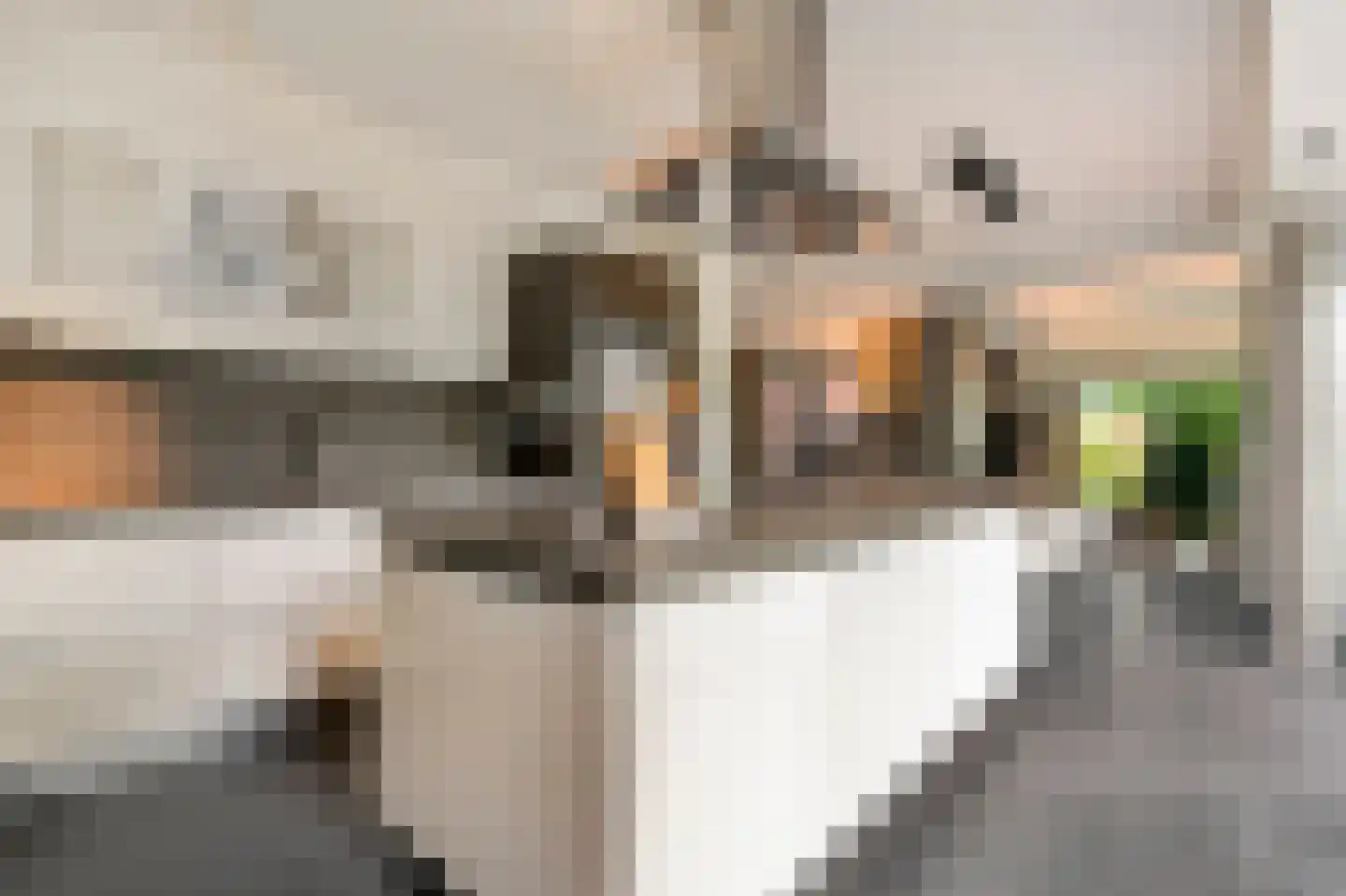 Kooikerlaan 8 Nootdorp thumbnail 21