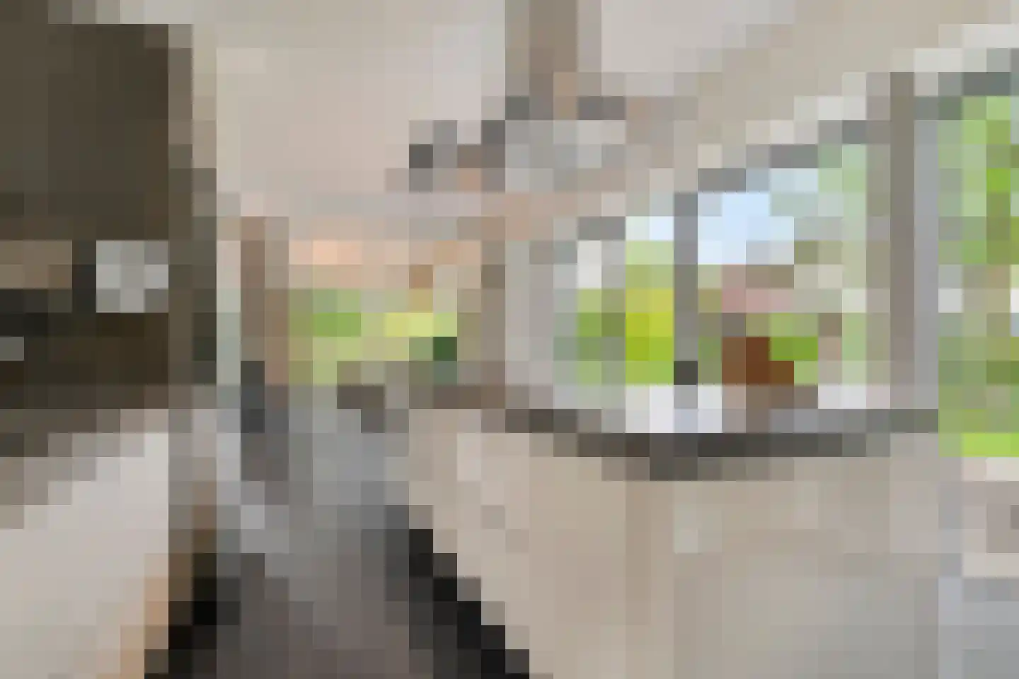 Kooikerlaan 8 Nootdorp thumbnail 22