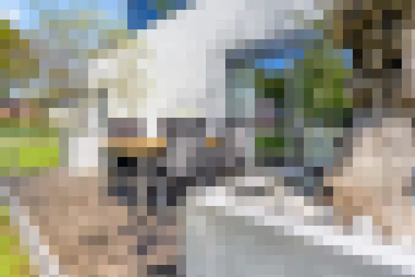 Kooikerlaan 8 Nootdorp thumbnail 26
