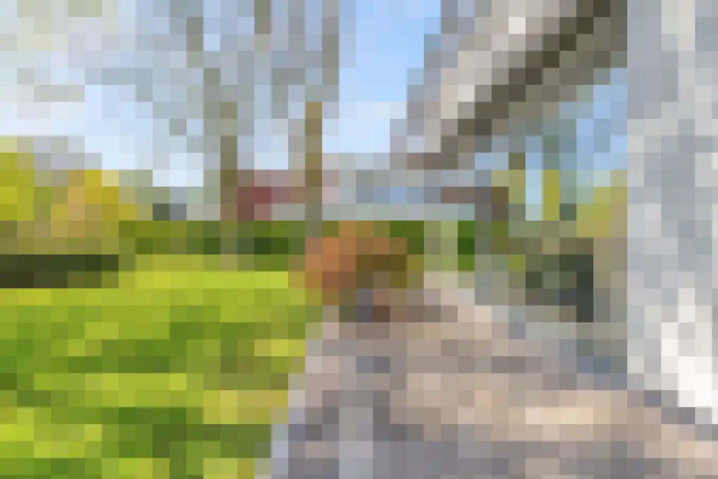 Kooikerlaan 8 Nootdorp thumbnail 27