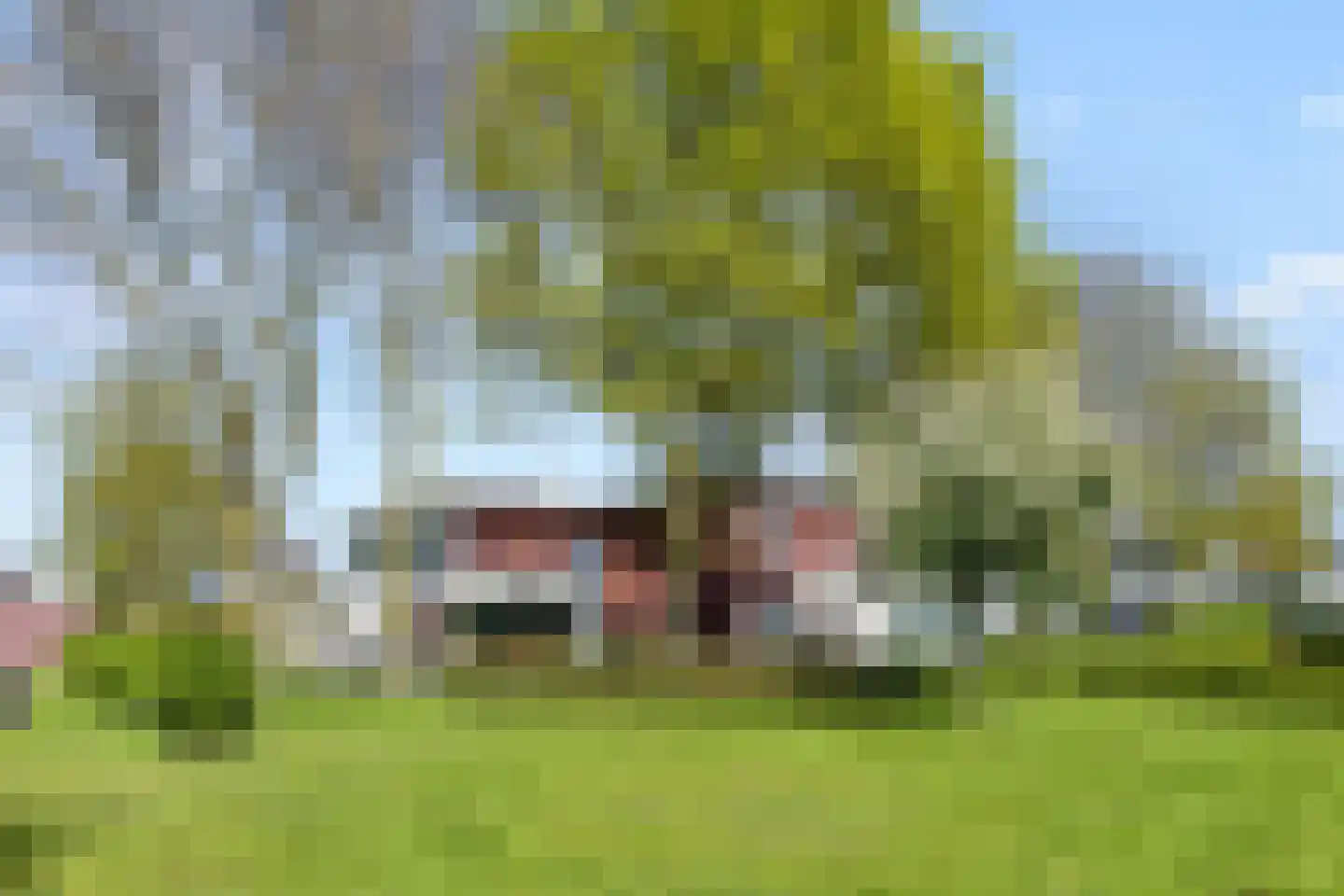 Kooikerlaan 8 Nootdorp thumbnail 28