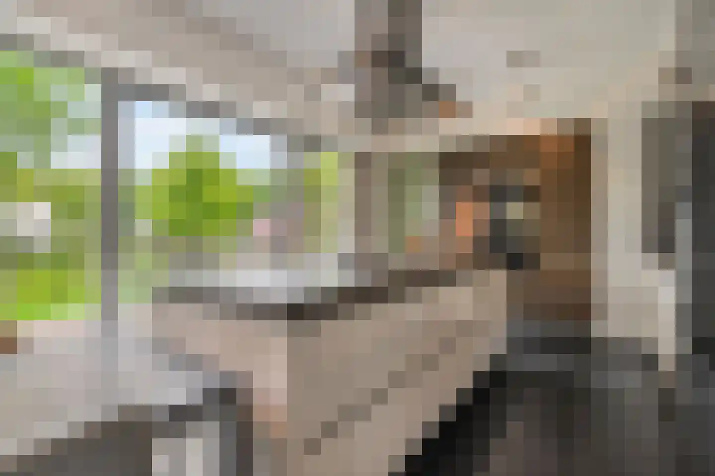 Kooikerlaan 8 Nootdorp thumbnail 4