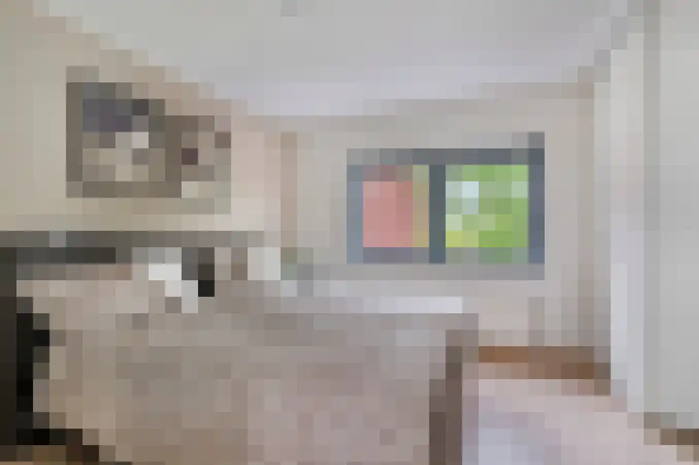 Kooikerlaan 8 Nootdorp thumbnail 47
