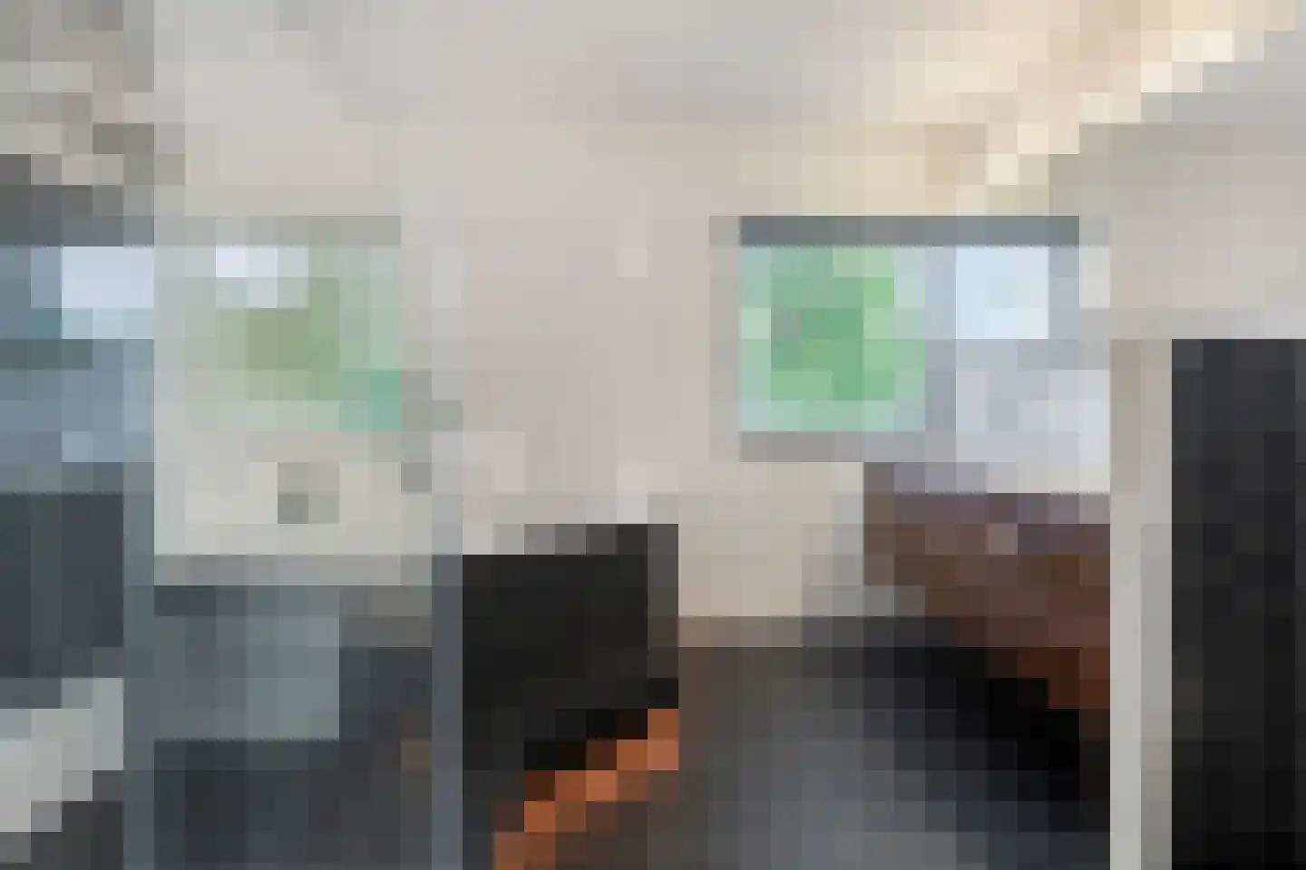 Kooikerlaan 8 Nootdorp thumbnail 51