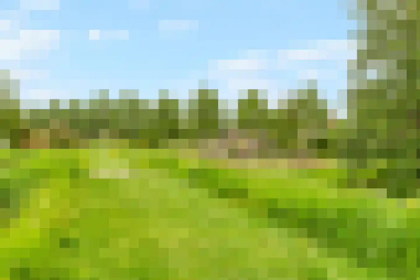 Kooikerlaan 8 Nootdorp thumbnail 55