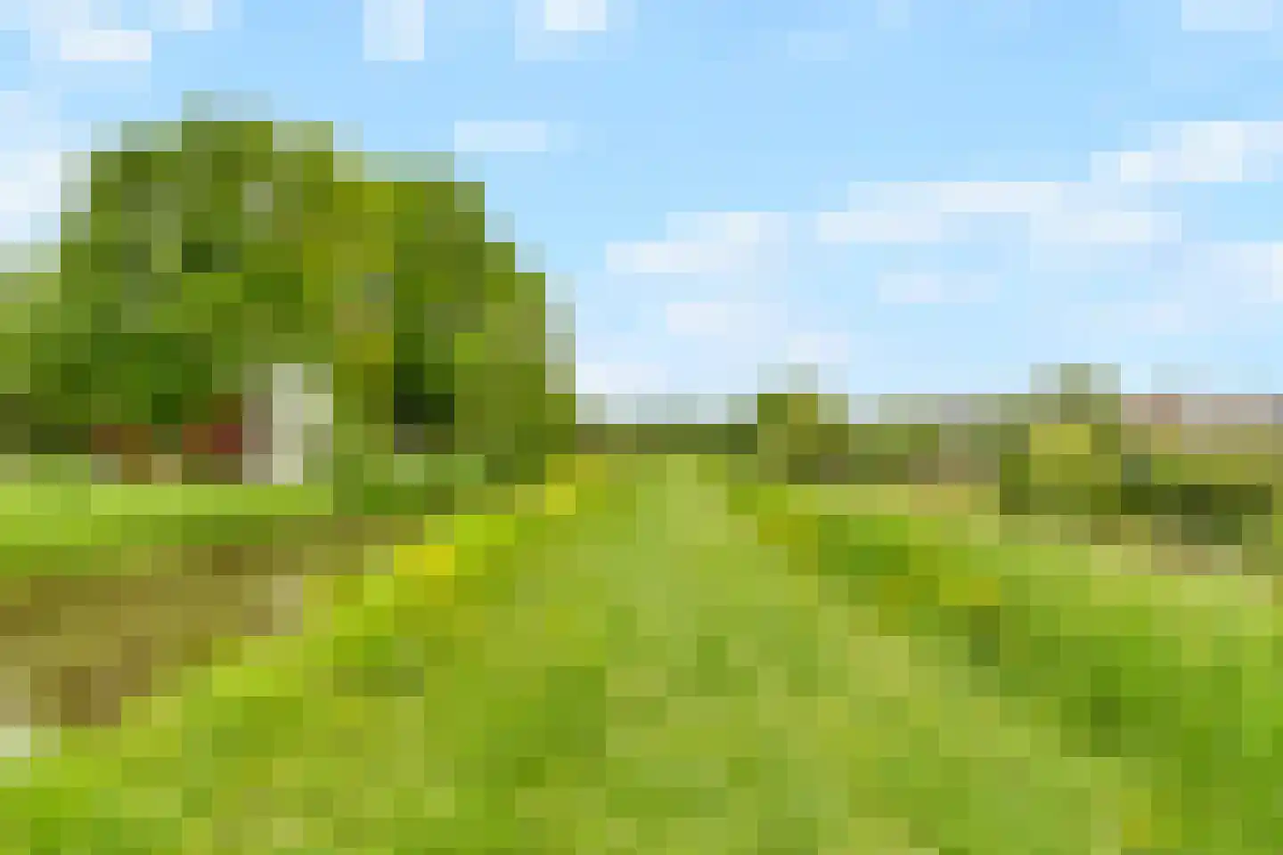 Kooikerlaan 8 Nootdorp thumbnail 59