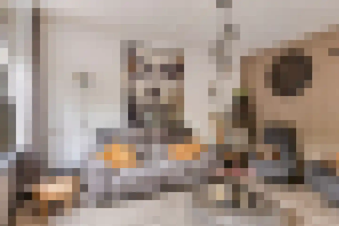 Kooikersdreef 405 Apeldoorn thumbnail 9