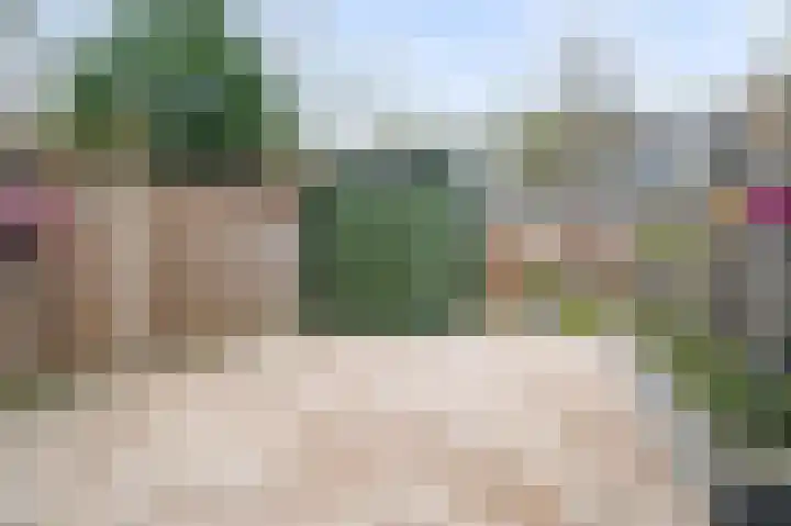 Kooikersdreef 406 Apeldoorn thumbnail 23