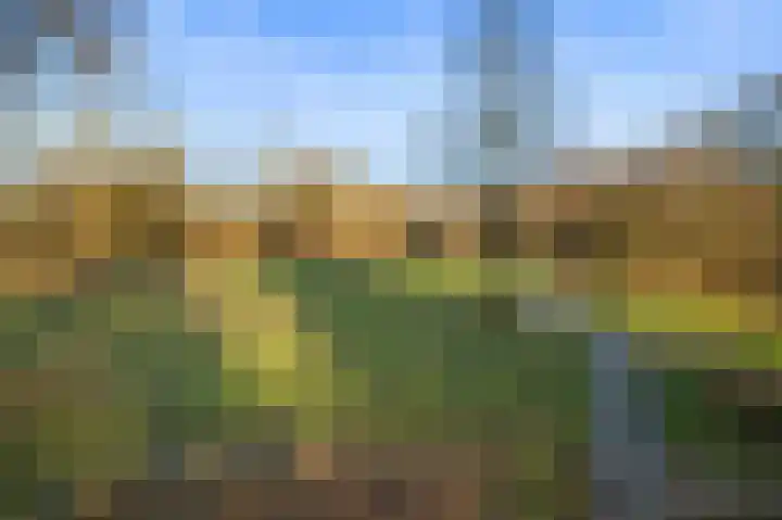 Kooikersdreef 406 Apeldoorn thumbnail 28
