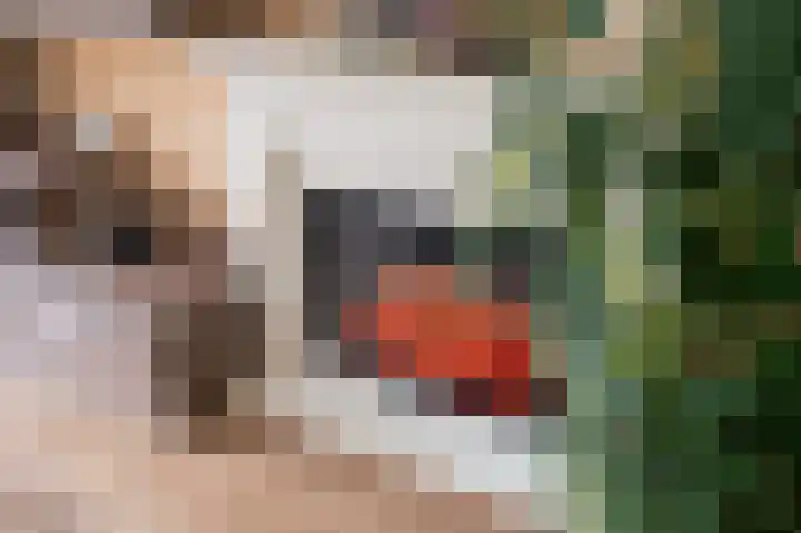 Kooikersdreef 406 Apeldoorn thumbnail 6
