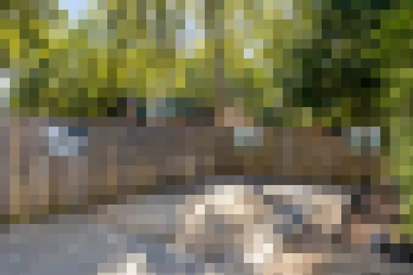 Kooikersdreef 408 Apeldoorn thumbnail 19