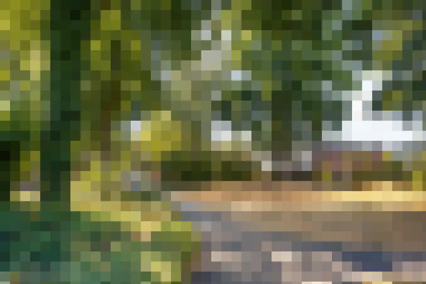 Kooikersdreef 408 Apeldoorn thumbnail 27