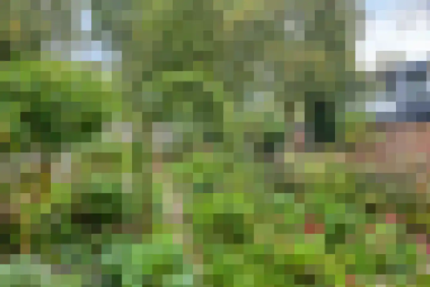Kooikersdreef 409 Apeldoorn thumbnail 28