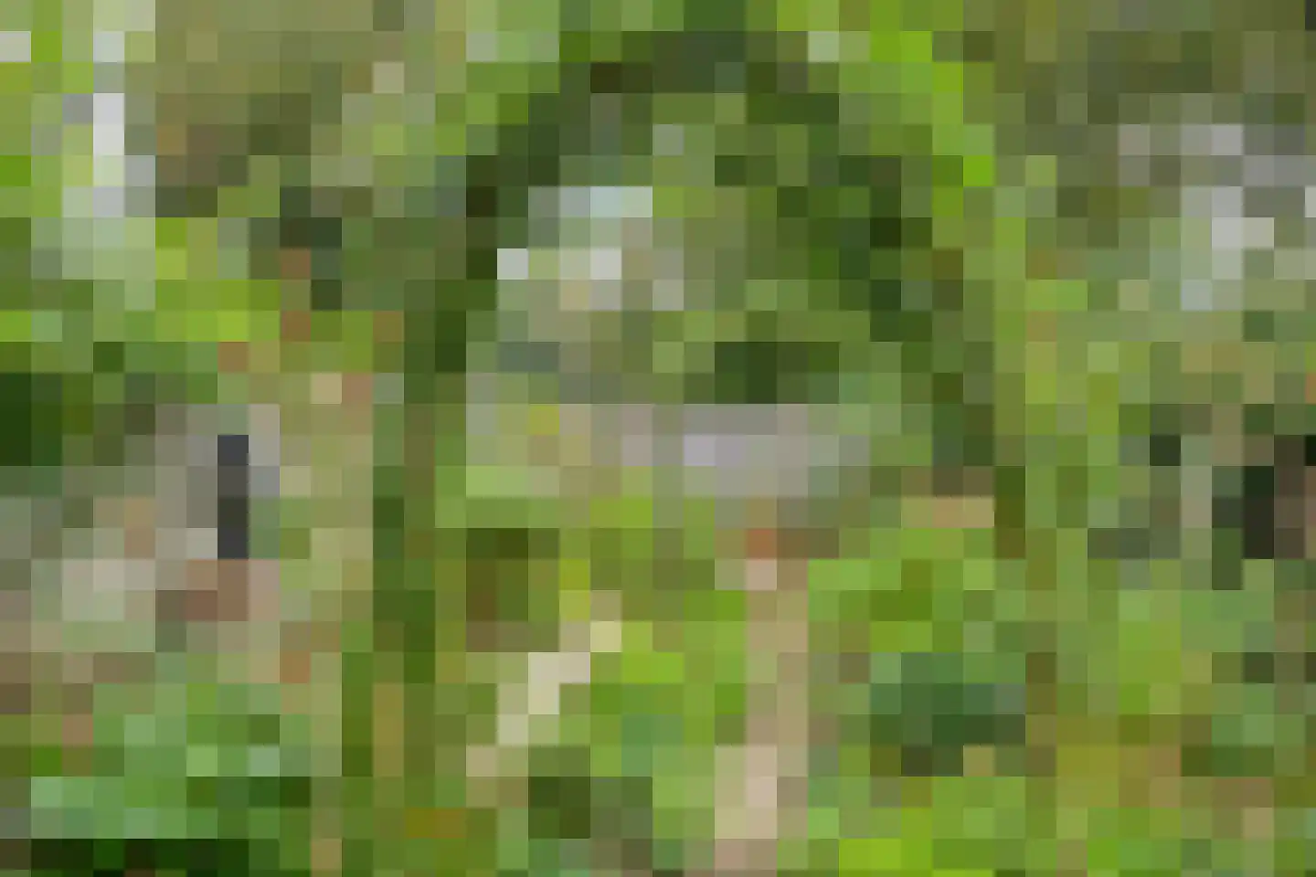 Kooikersdreef 409 Apeldoorn thumbnail 29