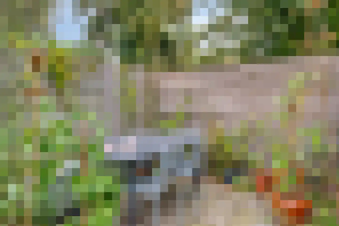 Kooikersdreef 409 Apeldoorn thumbnail 30