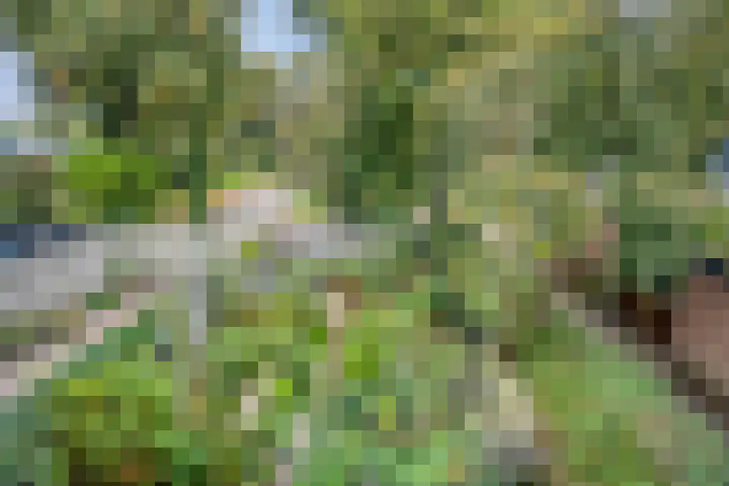 Kooikersdreef 409 Apeldoorn thumbnail 32