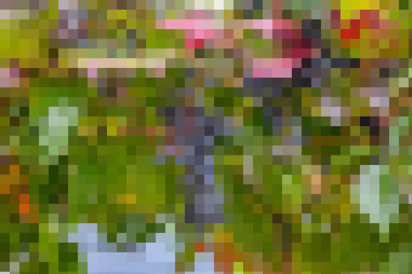 Kooikersdreef 409 Apeldoorn thumbnail 9
