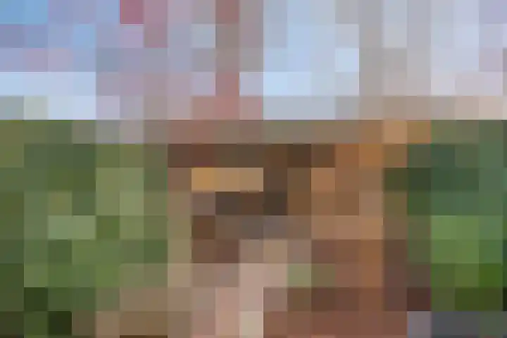 Kooikersdreef 64 Apeldoorn thumbnail 16
