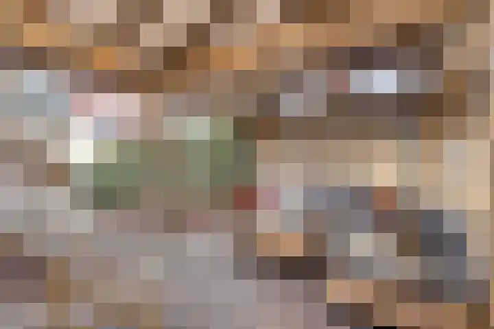 Kooikersdreef 64 Apeldoorn thumbnail 17