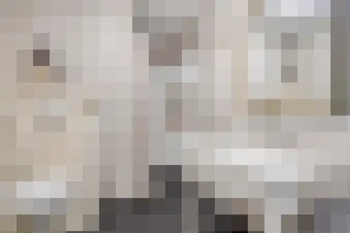 Kooikersdreef 64 Apeldoorn thumbnail 23