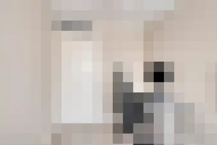 Kooikersdreef 64 Apeldoorn thumbnail 25