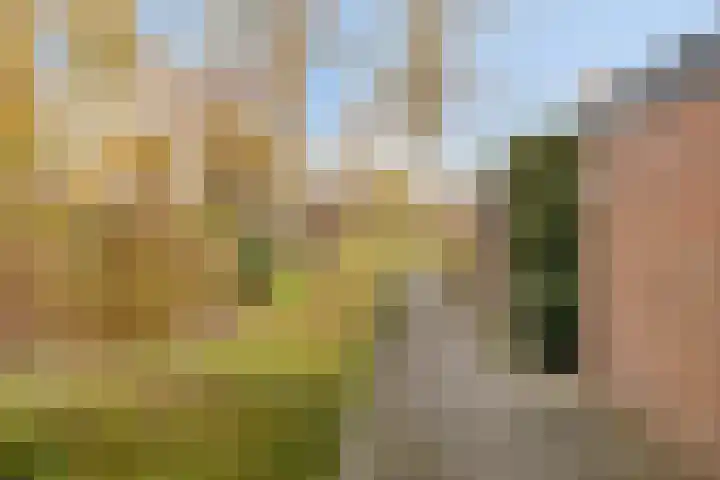 Kooikersdreef 64 Apeldoorn thumbnail 28
