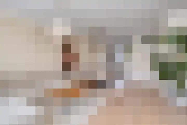 Kooikersdreef 64 Apeldoorn thumbnail 8