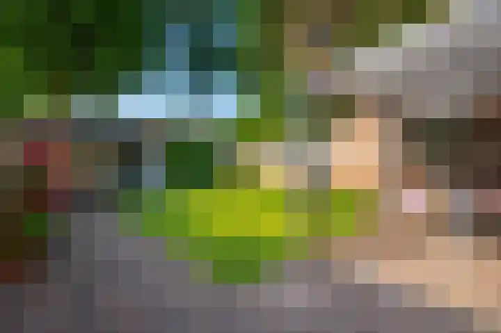 Kooikersdreef 704 Apeldoorn thumbnail 14