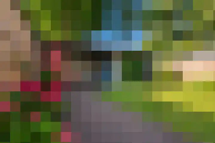 Kooikersdreef 704 Apeldoorn thumbnail 17