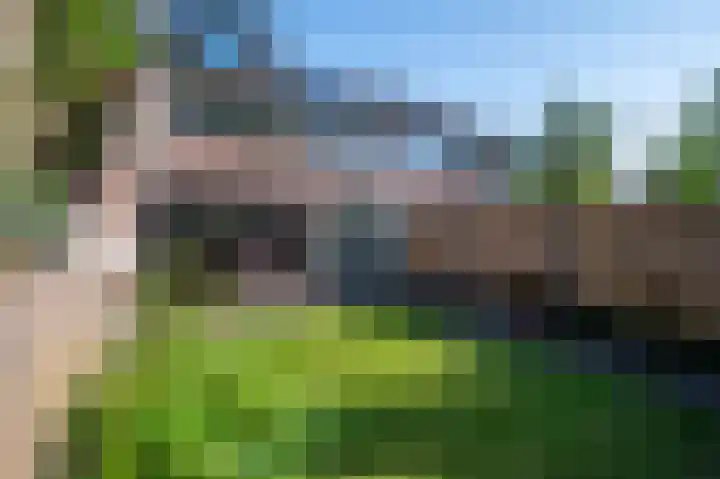Kooikersdreef 704 Apeldoorn thumbnail 19