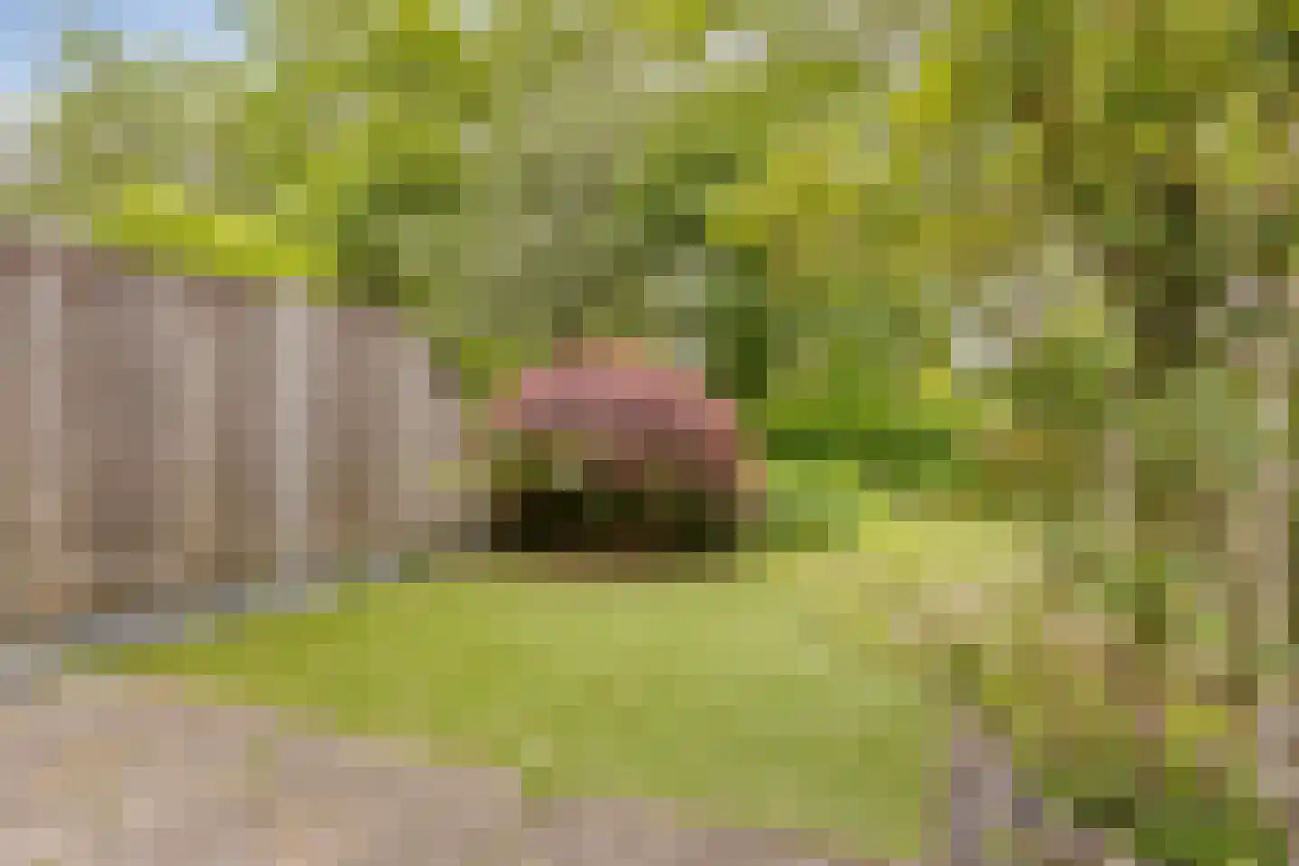 Kooikersdreef 71 Apeldoorn thumbnail 25