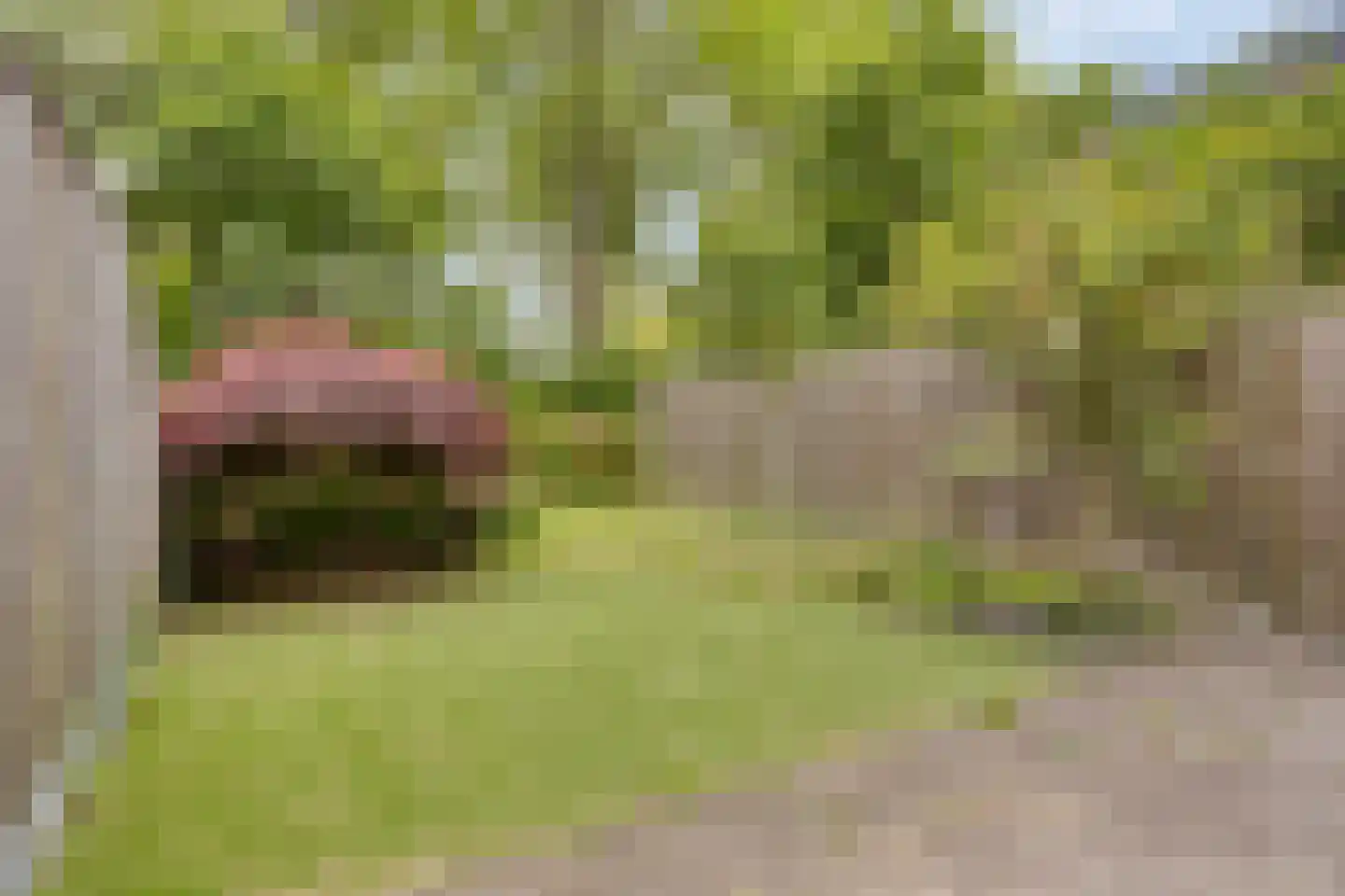 Kooikersdreef 71 Apeldoorn thumbnail 26