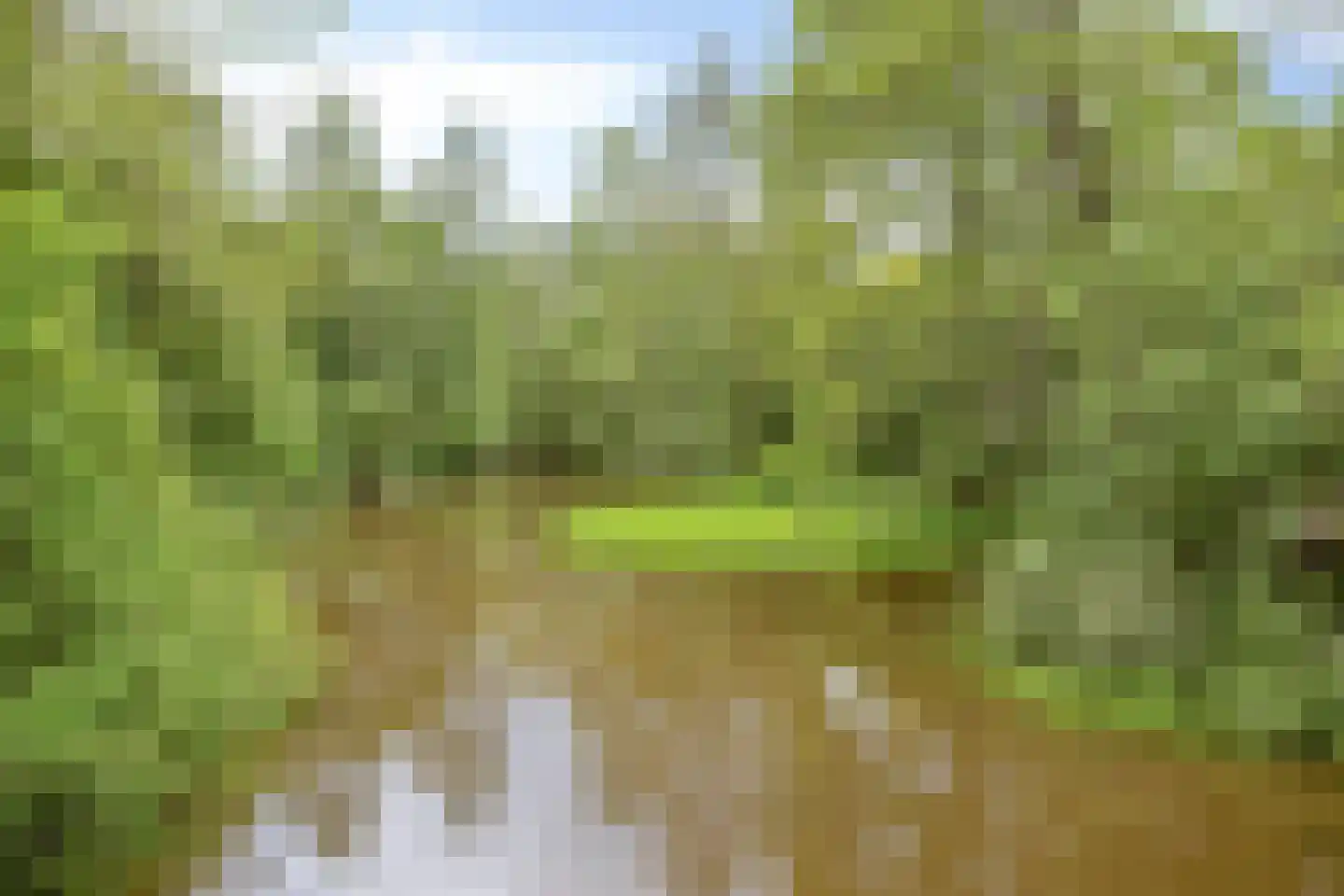 Kooikersdreef 71 Apeldoorn thumbnail 35