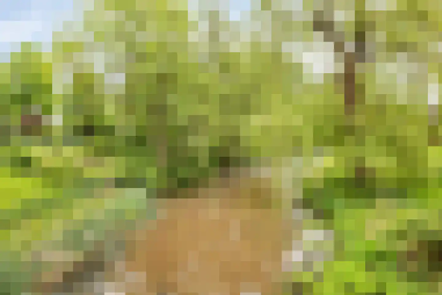 Kooikersdreef 71 Apeldoorn thumbnail 36
