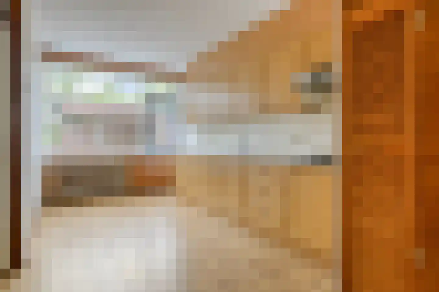 Kooikersdreef 71 Apeldoorn thumbnail 9