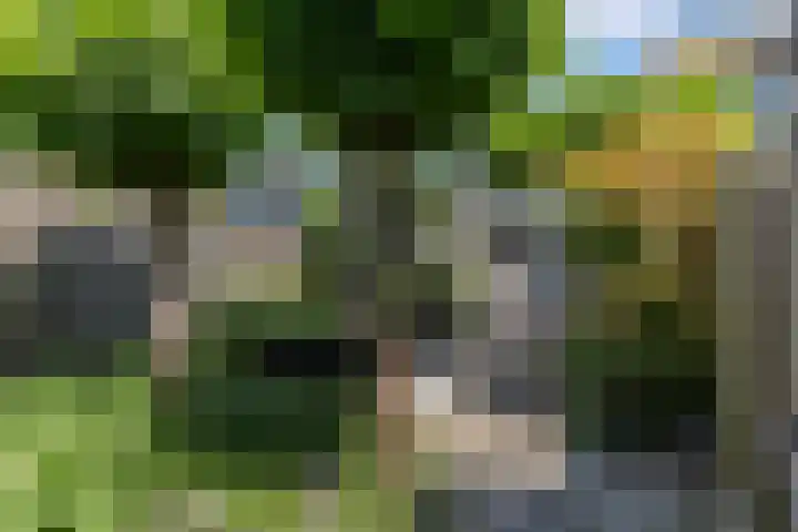 Kooikersdreef 75 Apeldoorn thumbnail 12